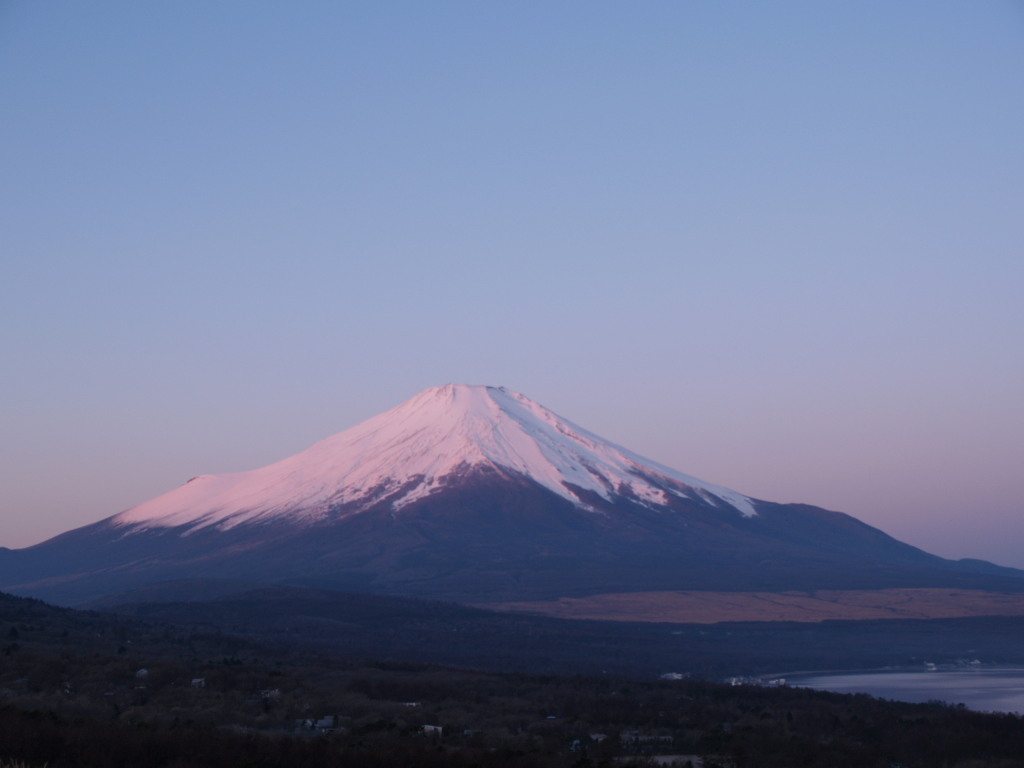 12/12 ���Ă��̕x�m�R