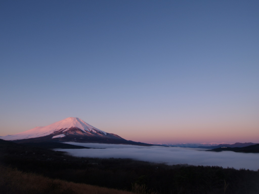 12/18 ���Ă��̕x�m�R