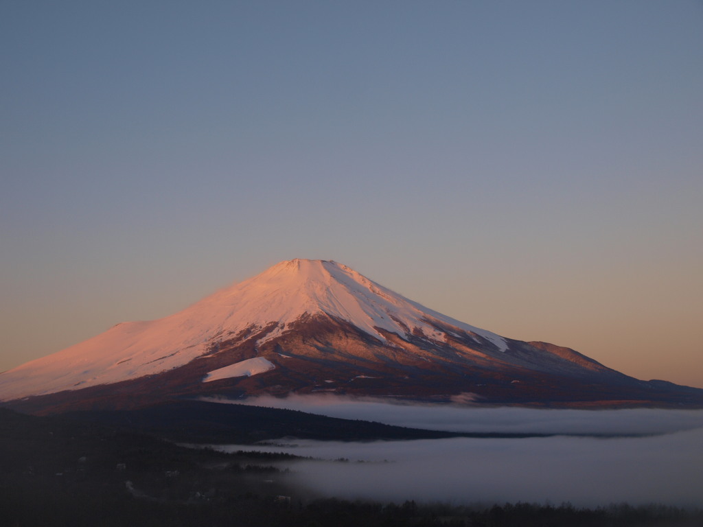 12/18 ���ꂢ�ɍg���Ȃ����x�m�R