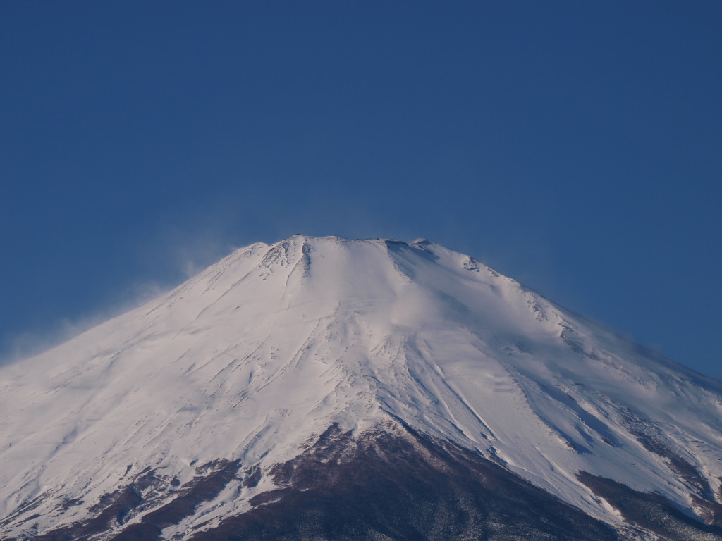 12/18 ���Ă��x�m�R