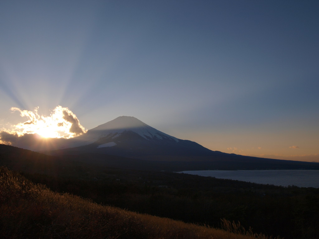 12/18 ���̓���ƕx�m�R