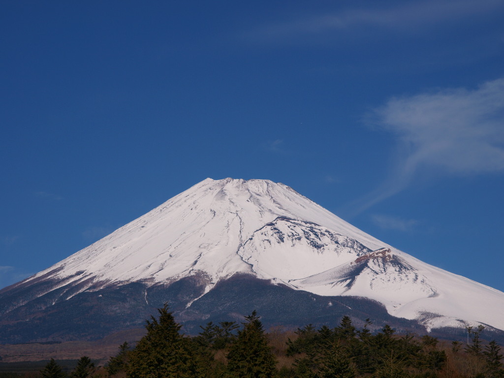 12/20 �z�O�x����̕x�m�R