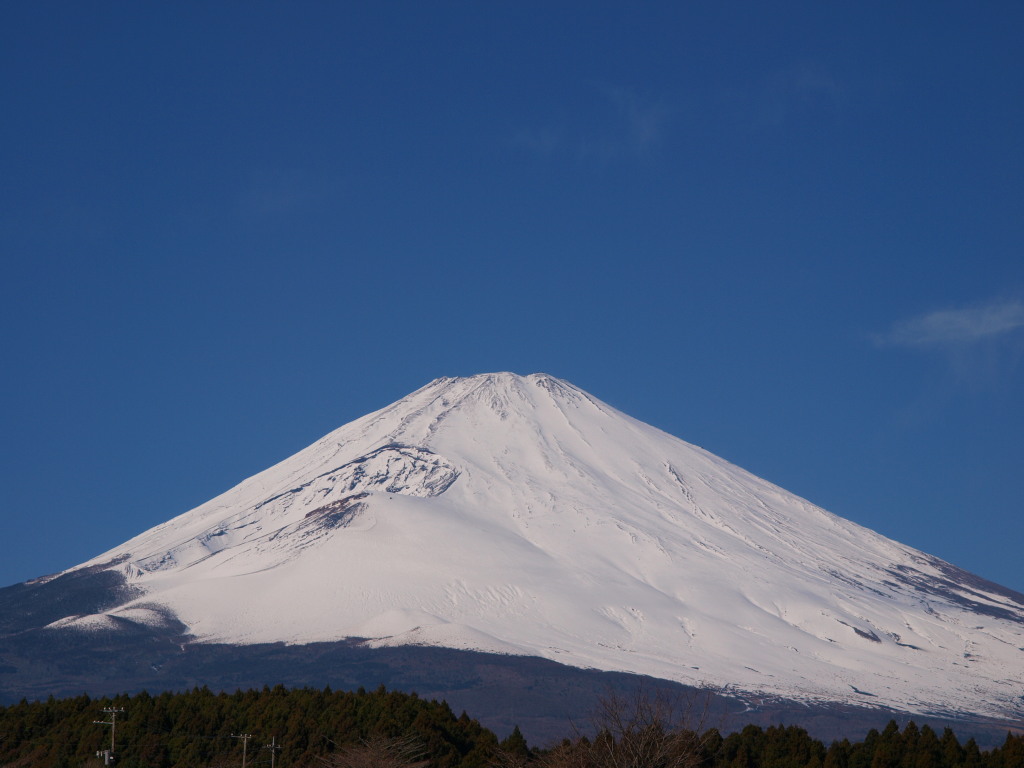 12/20 ��a�ꂩ��̕x�m�R