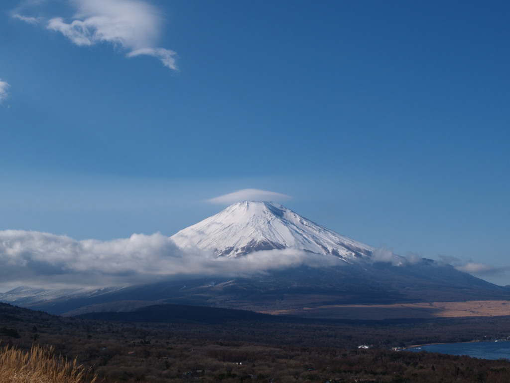 1/7 �V�N�̎P�����Ԃ������ꂢ�ȕx�m�R