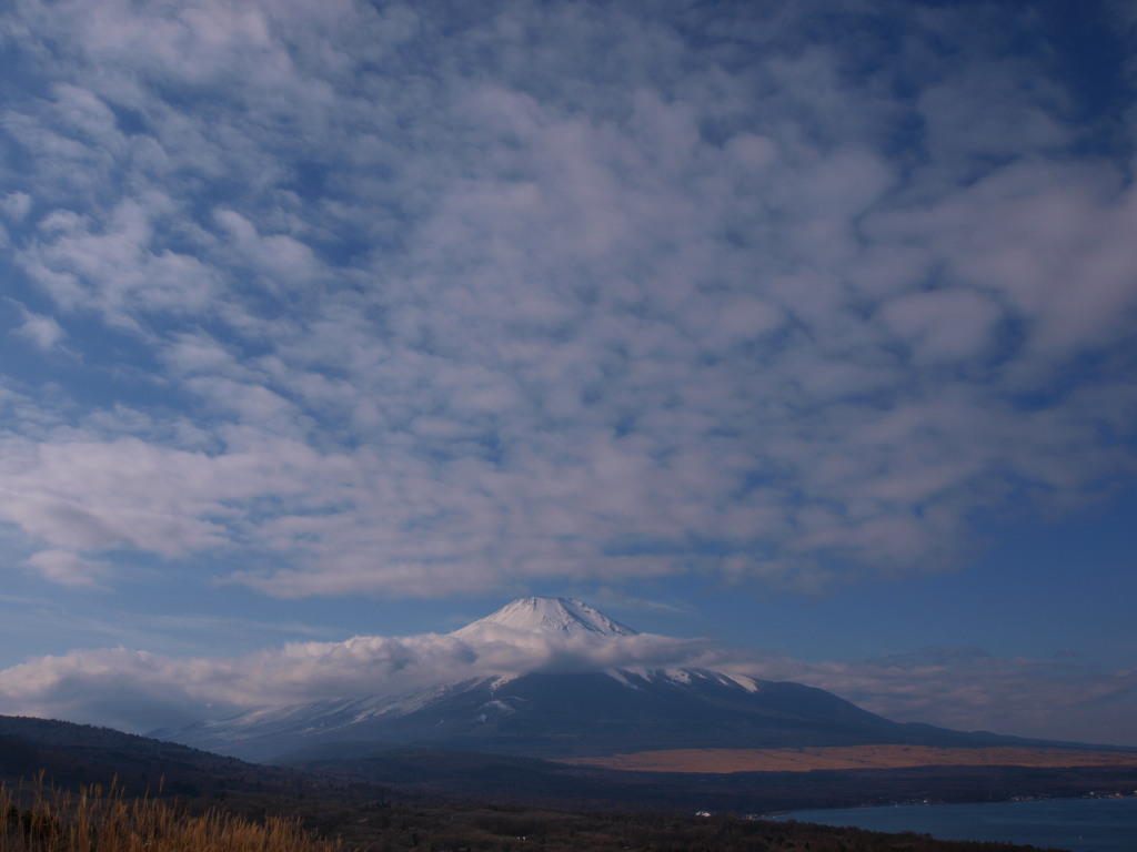 1/8 ���낱�_�ƕx�m�R