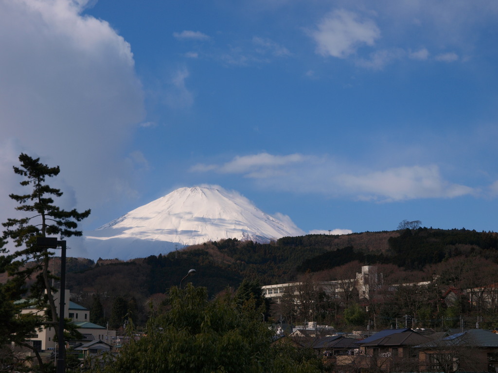 1/10 ���R����̕x�m�R