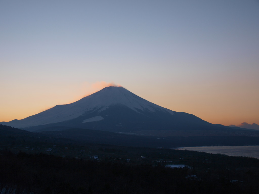 1/19 �[�Ă��ƕx�m�R