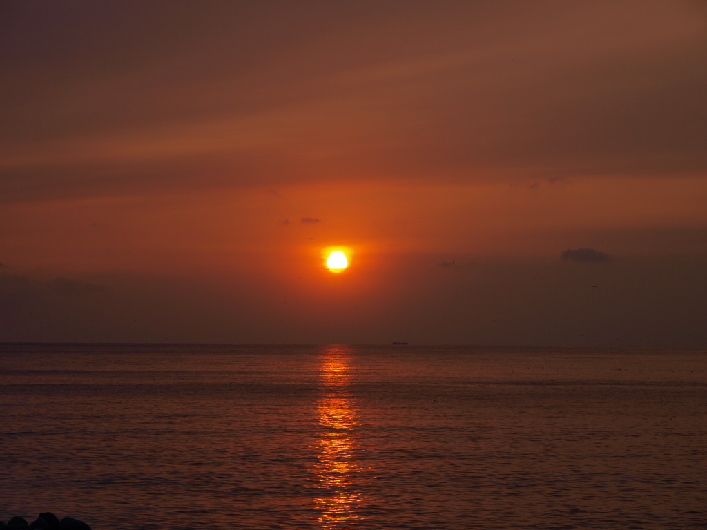 1/20 �x�͘p�ɒ��ޑ��z