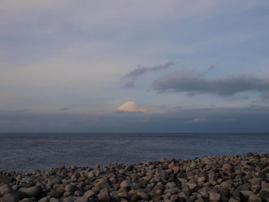 1/23 �悤�₭�������C�z���̕x�m�R