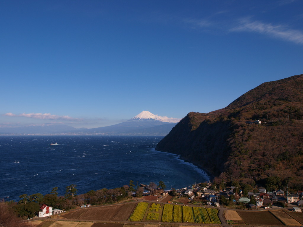 1/24 ��c����̕x�m�R