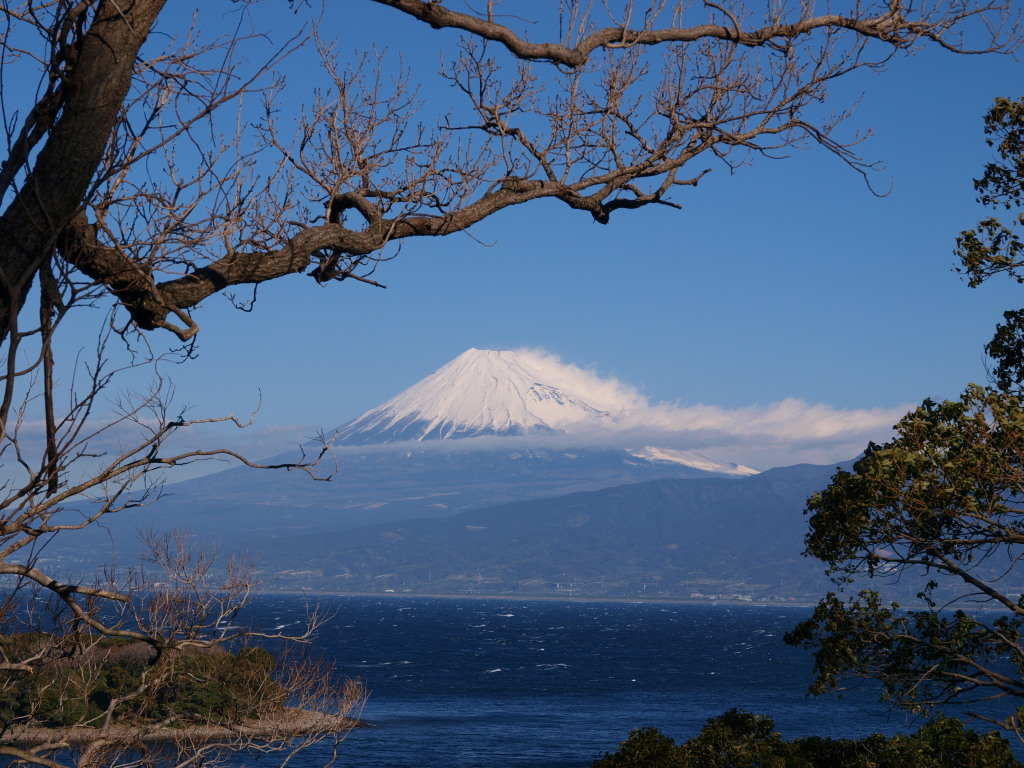 1/24 �吣�肩��̕x�m�R