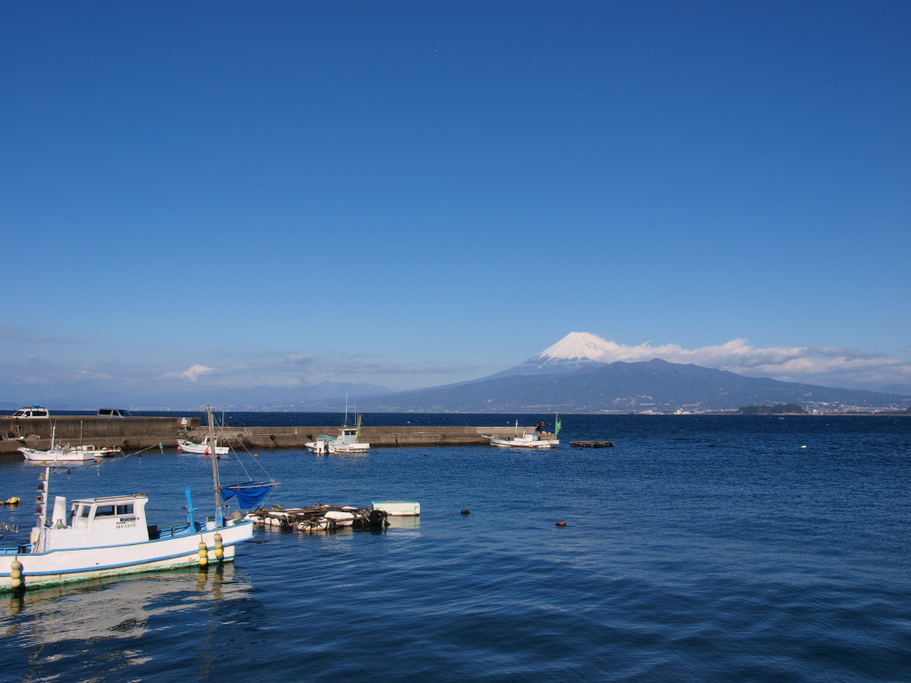 1/24 ���Y�`����̕x�m�R