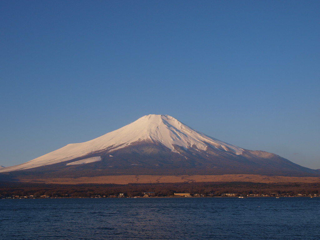 2/6 ���r����̂��ꂢ�ȕx�m�R