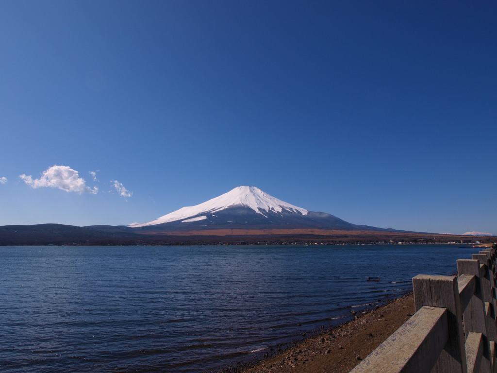 2/6 ���r����̃��C�h�x�m�R