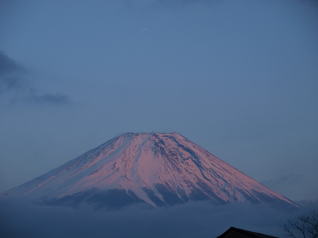 2/7 �[�Ă��̕x�m�R