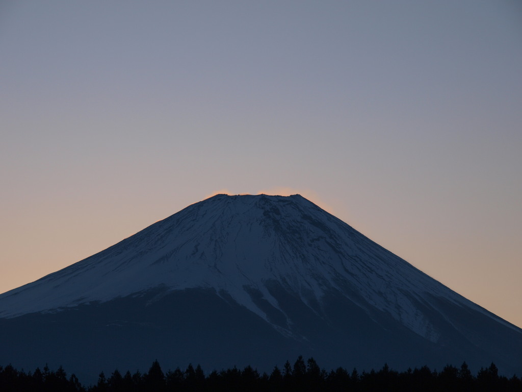 2/8 ������������̒��Ă�