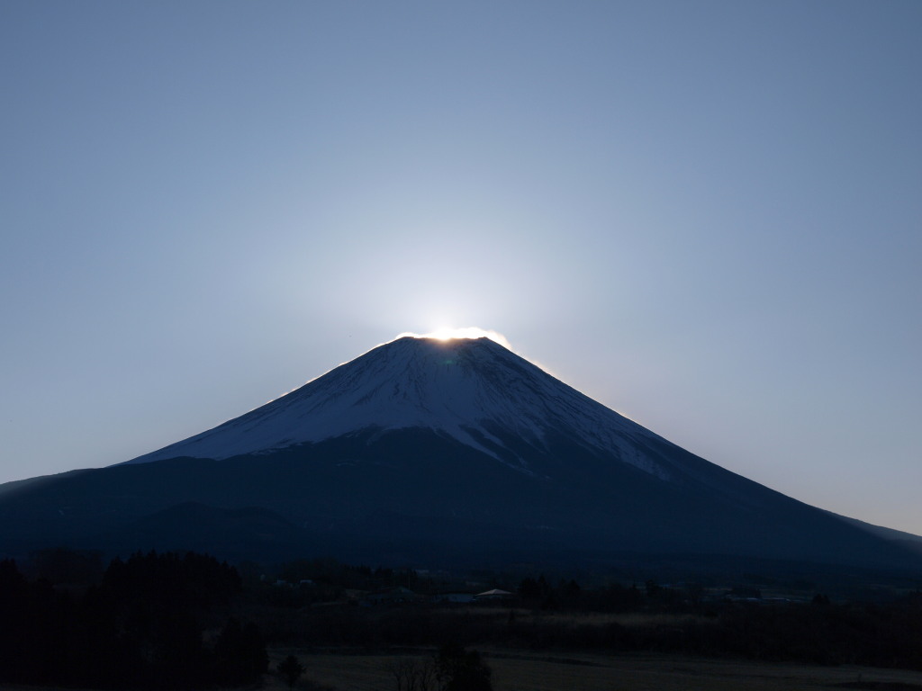 2/8 �_�C�������h�x�m