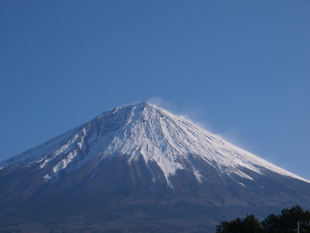 2/8 ���o����̕x�m�R