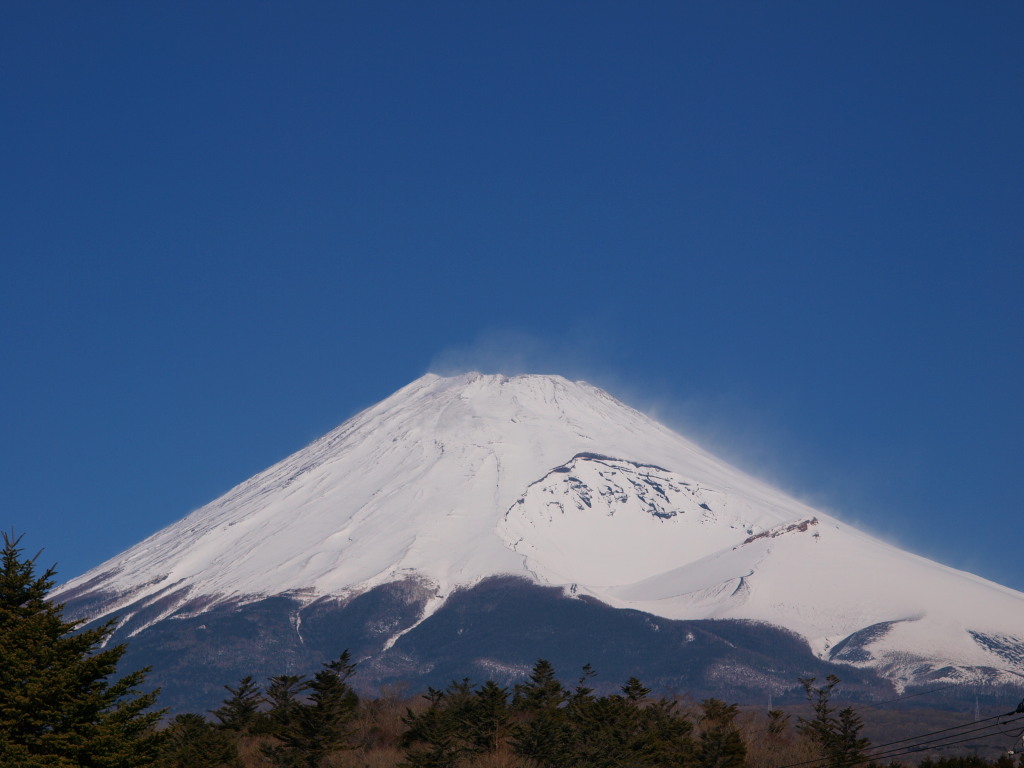 2/8 �z�O�x����̕x�m�R