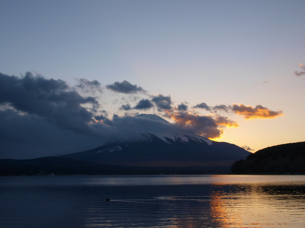 2/17 �[�Ă��ƕx�m�R