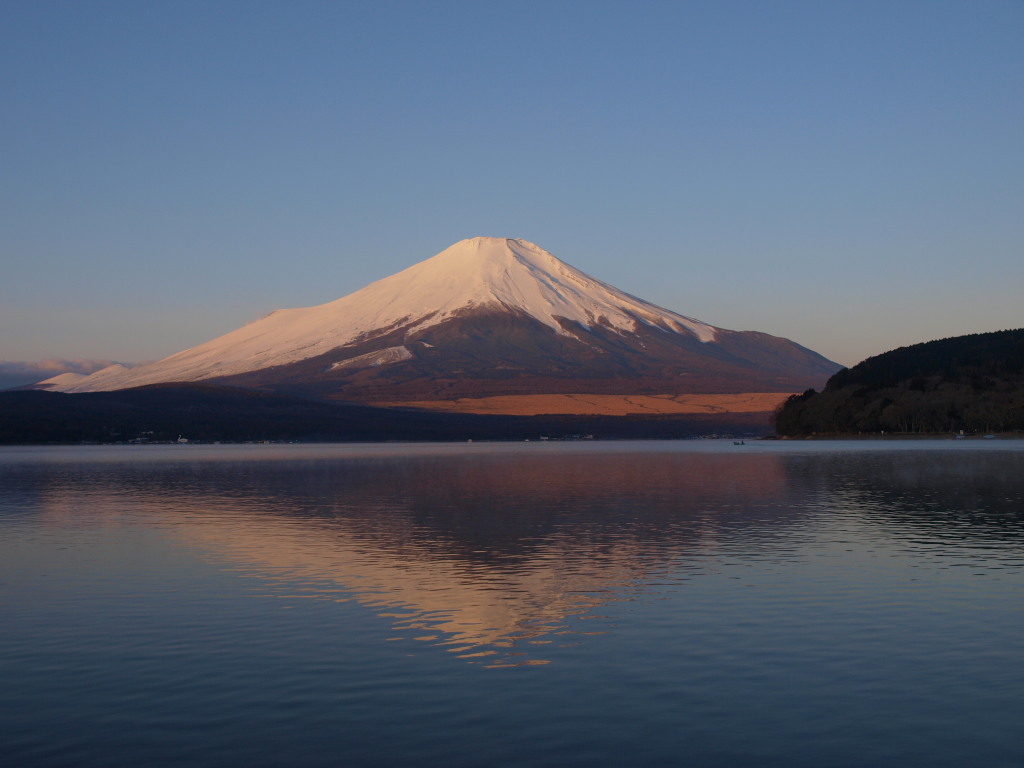 2/18 ���Ă��̕x�m�R