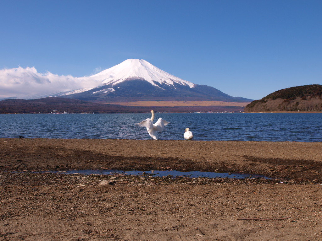 2/18 �����̔����ƕx�m�R