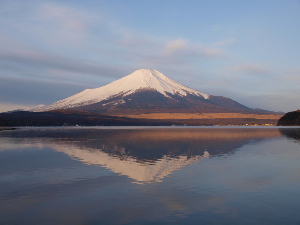 2/19 ���Ă��̕x�m�R