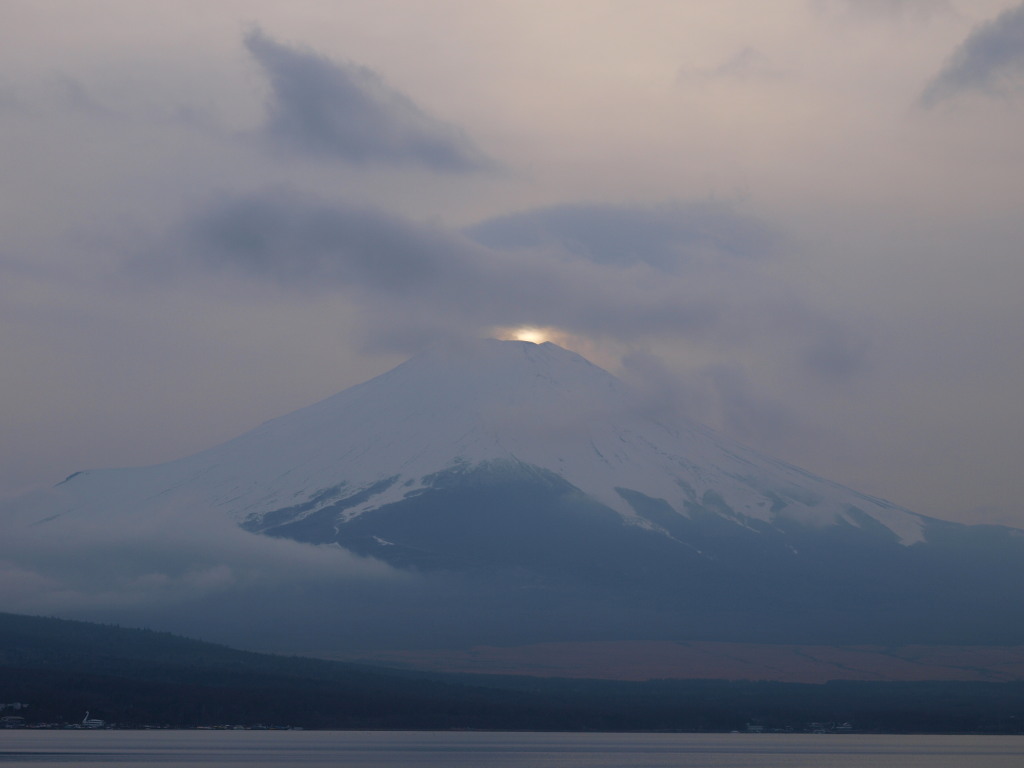 2/19 �_�C�������h�x�m���ǂ�