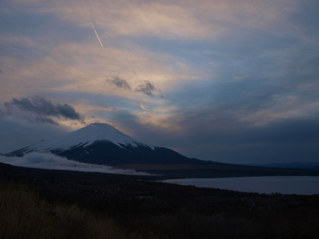 2/25 �[�Ă��̕x�m�R