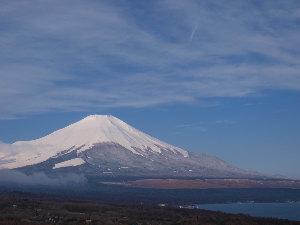 3/10 �����x�m�R