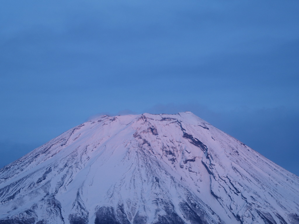 3/11 ��u�̗[�Ă��ƕx�m�R