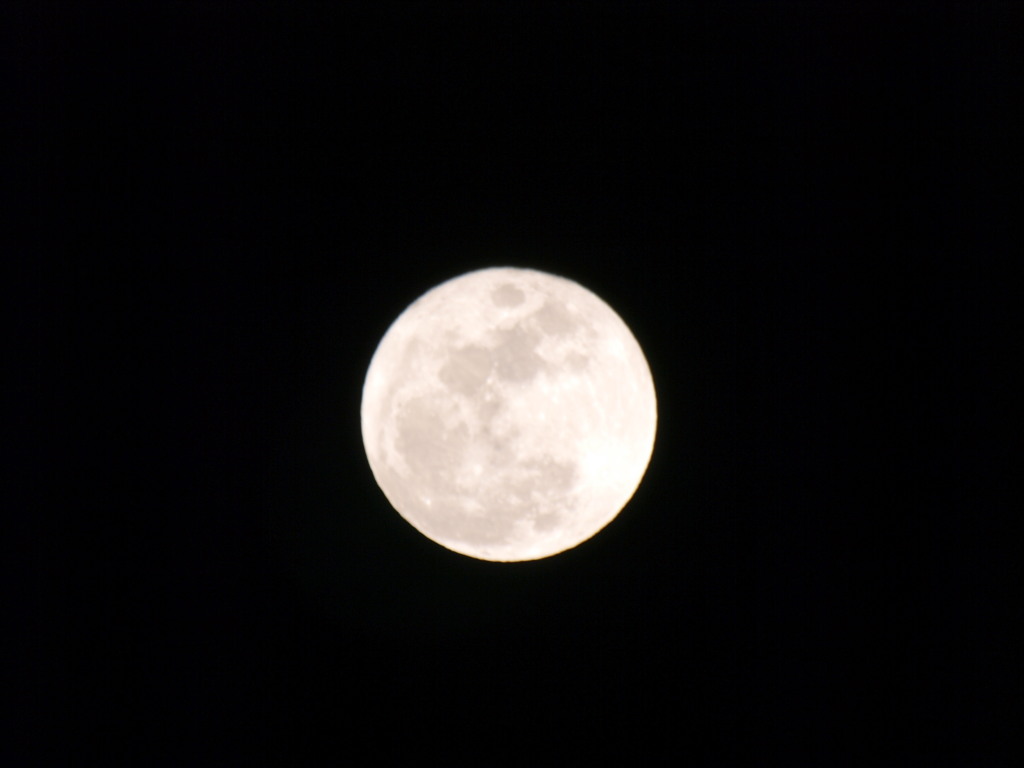 3/11 �\�ܖ�̌�