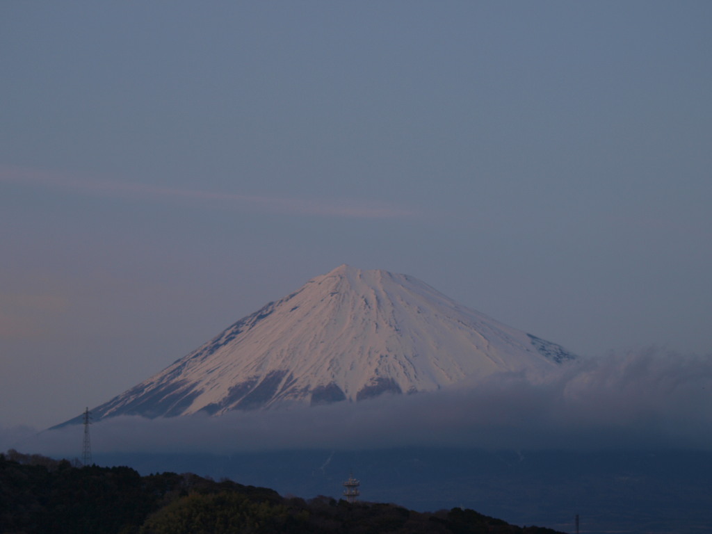 3/12 �y������̗[�Ă��̕x�m�R