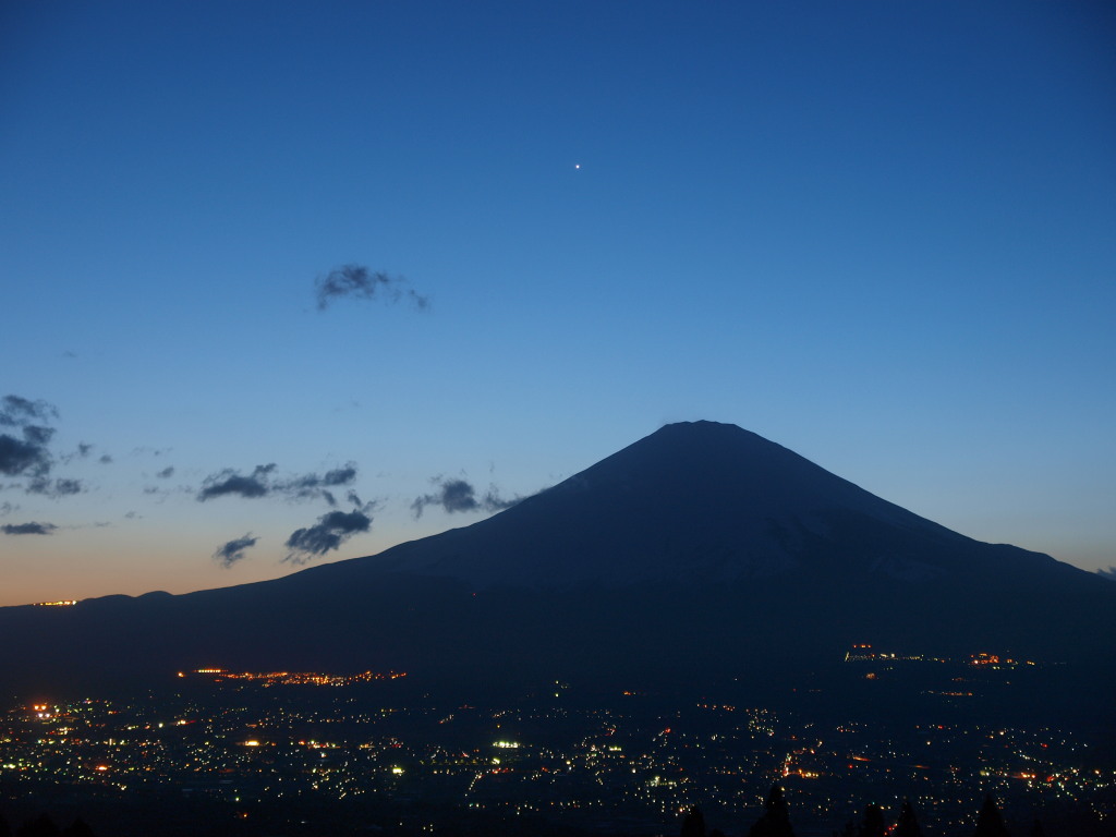 3/14 ����������̖�i