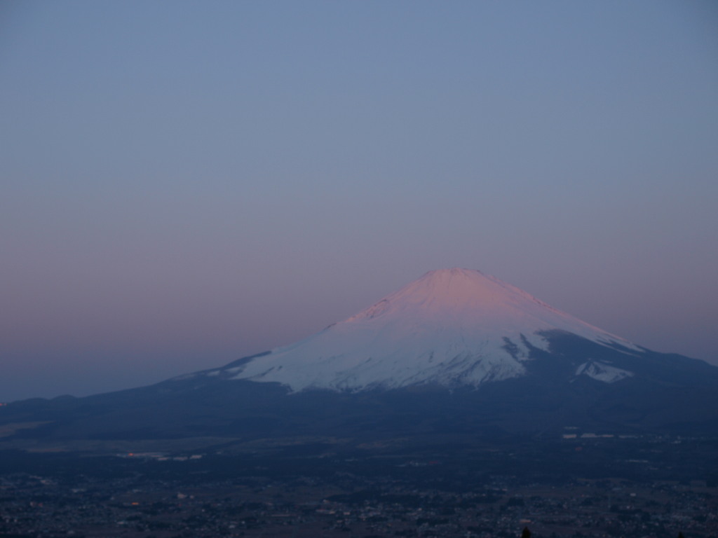 3/15 ����������̒��Ă��̕x�m�R