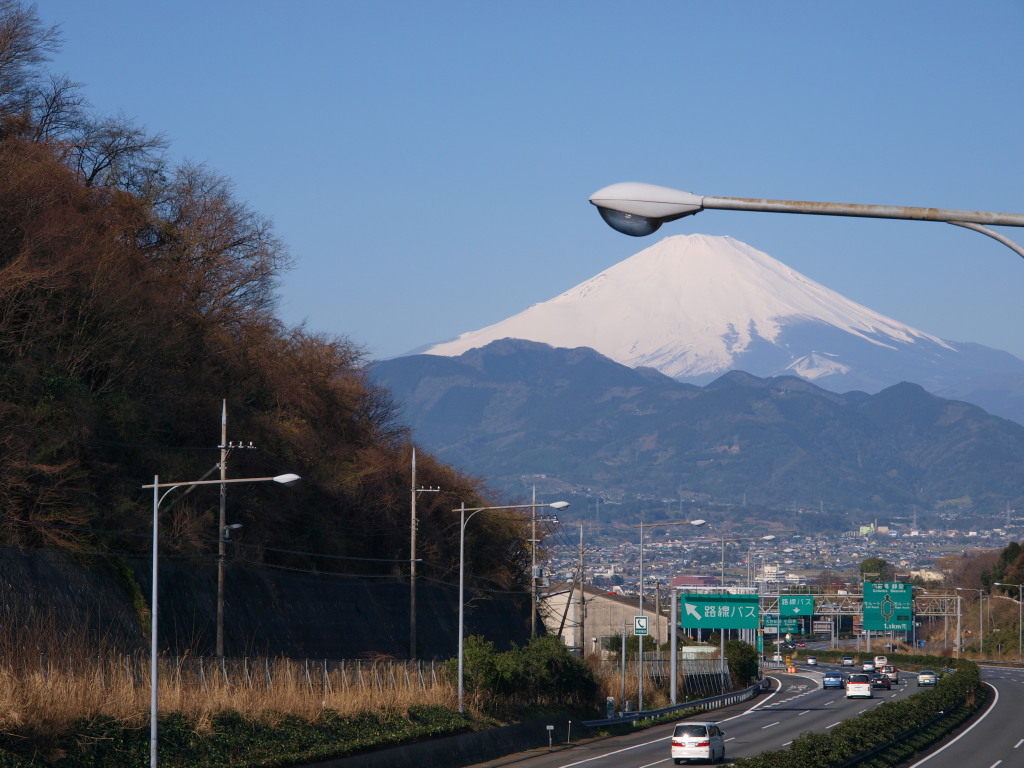 3/15 ���c����̕x�m�R