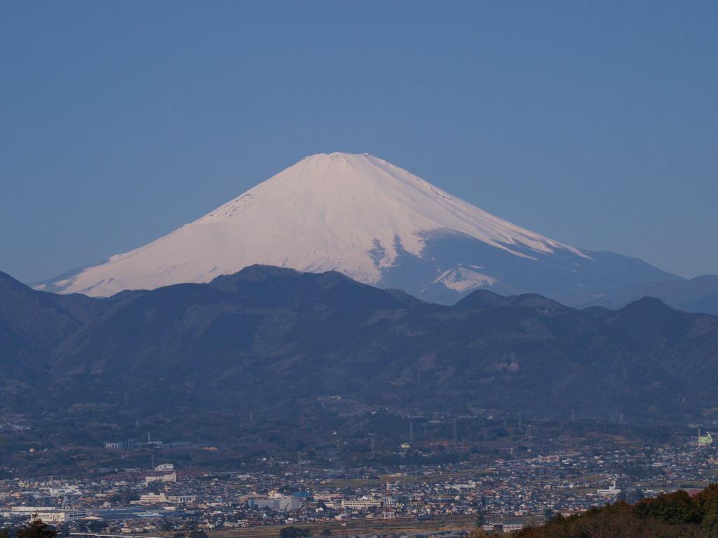 3/15 �������̑�����̕x�m�R