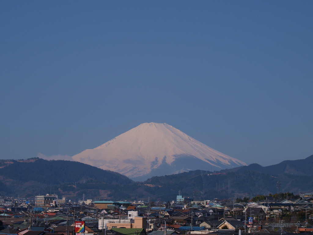 3/15 �`��W���X�R����̕x�m�R