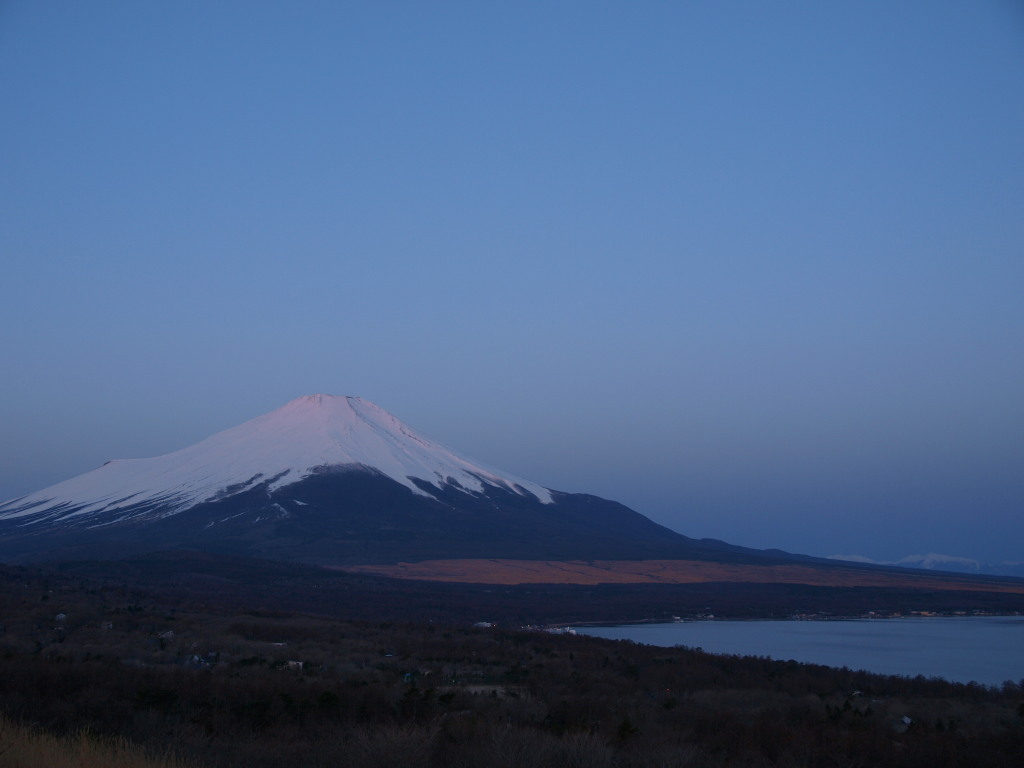 3/21 ���Ă��̕x�m�R