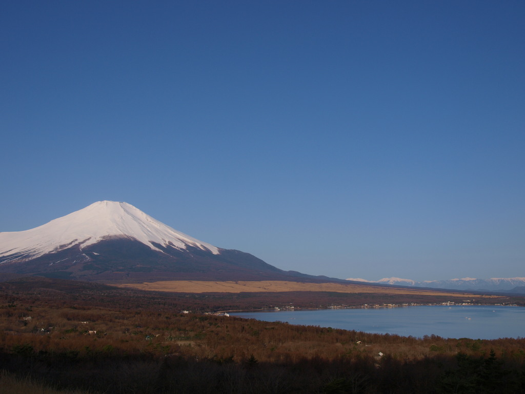 3/21 ���ꂢ�ȕx�m�R