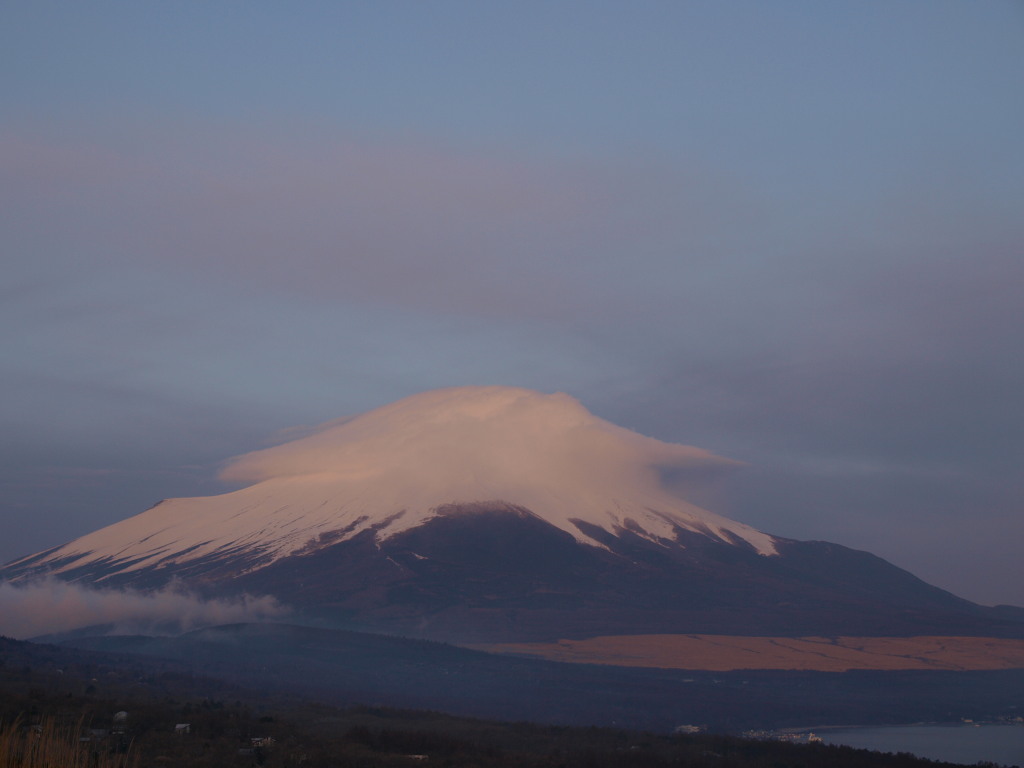 3/25 ���Ă��̎P�x�m�R