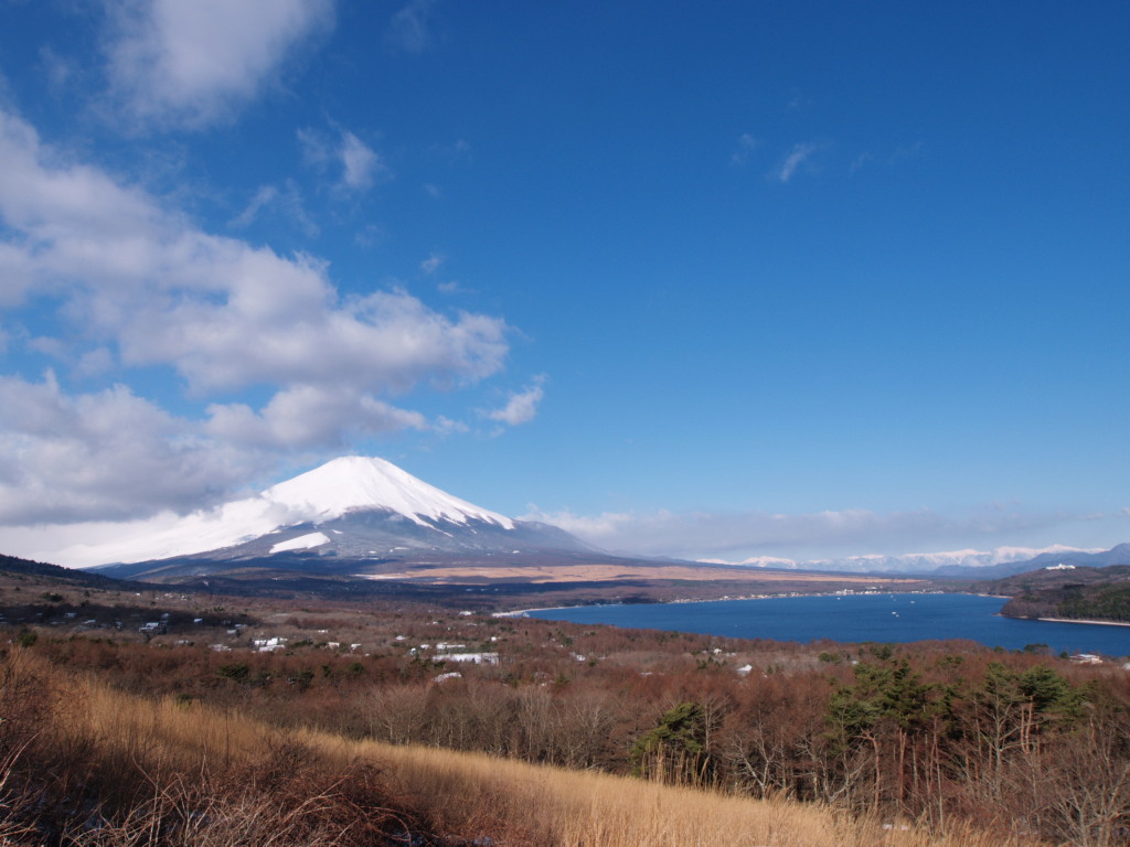 3/26 �A���v�X�ƕx�m�R