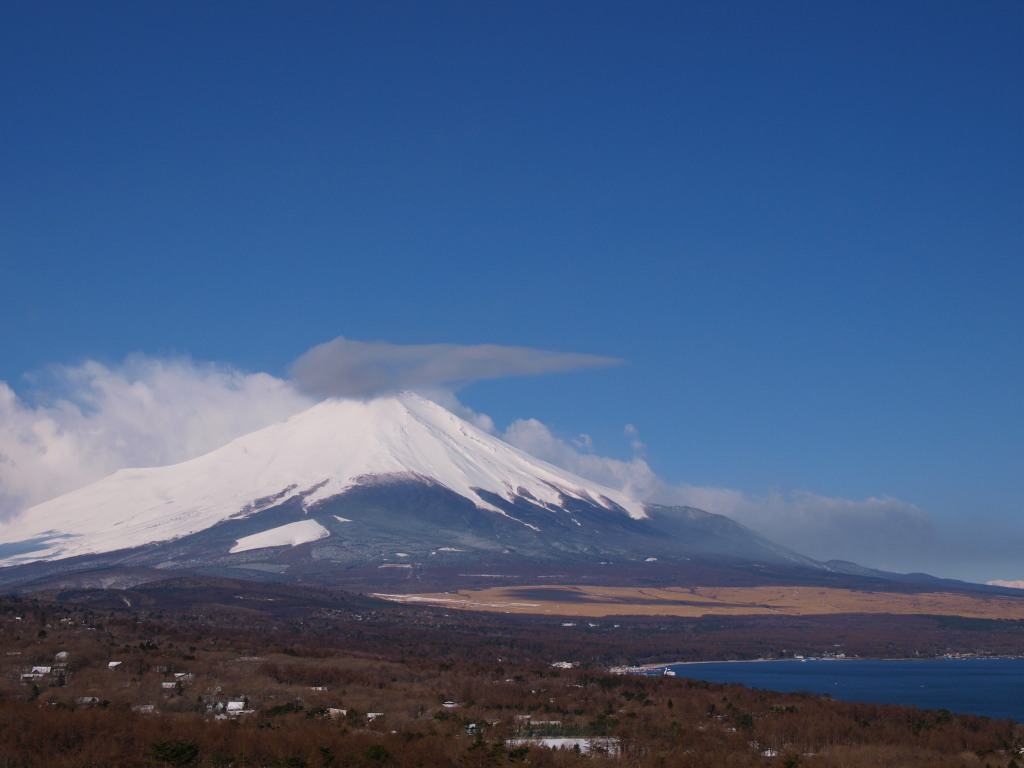 3/26 �_�ƕx�m�R