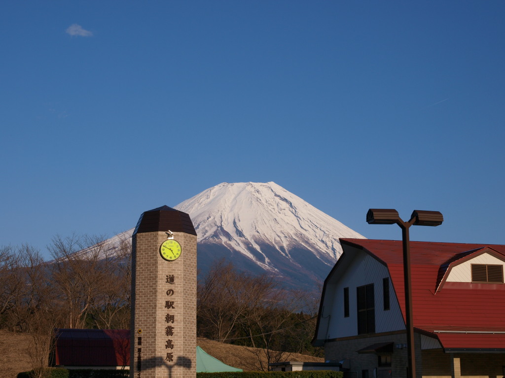 3/27 ��������̕x�m�R