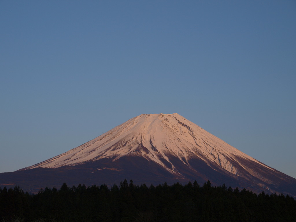 3/27 �[�Ă��̕x�m�R