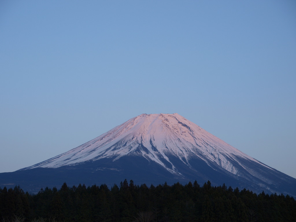 3/27 �g���Ȃ����x�m�R