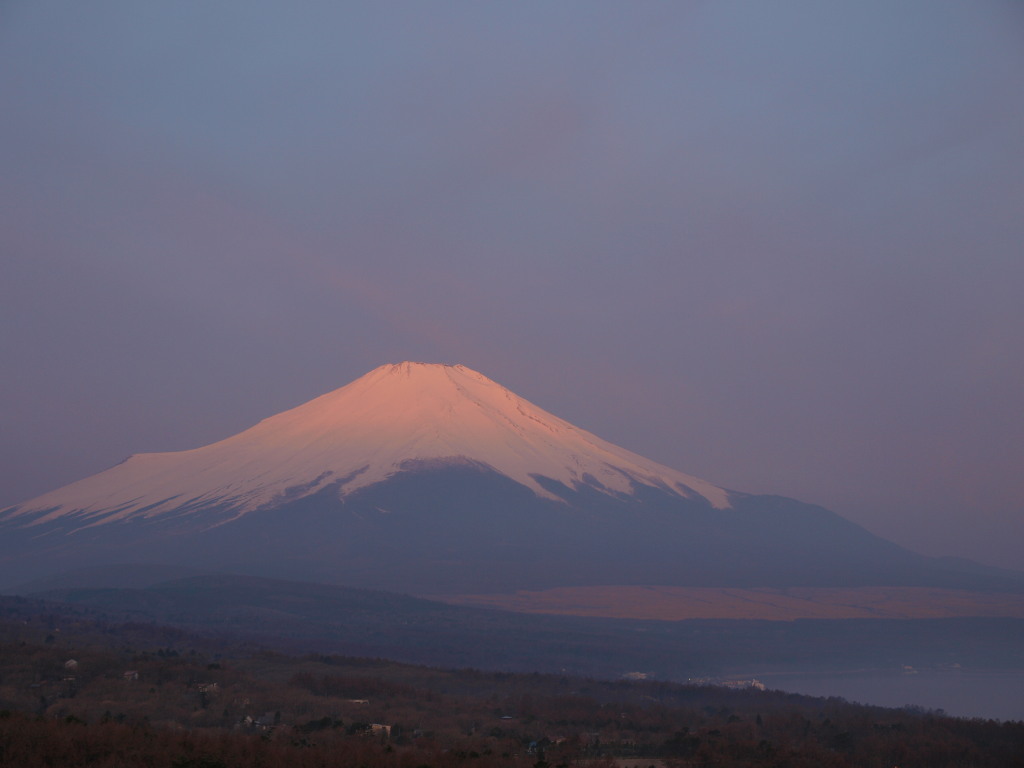 4/8 �t���̒��̒��Ă��̕x�m�R