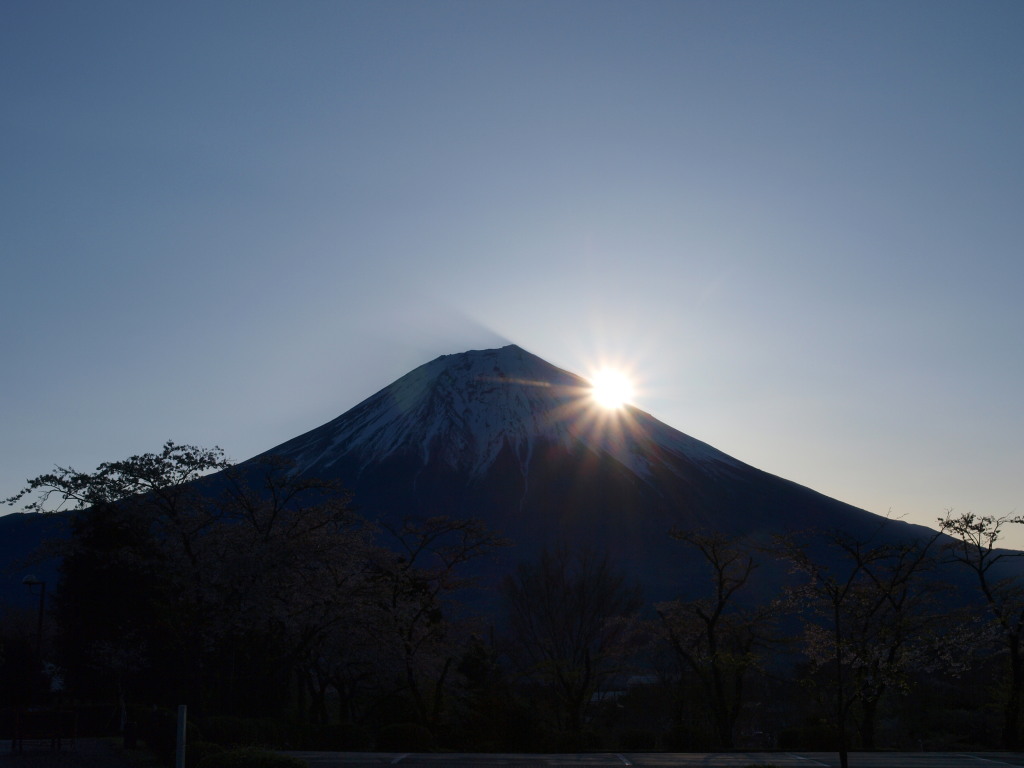 4/15 �c�ь΂���̓��̏o�ƕx�m�R