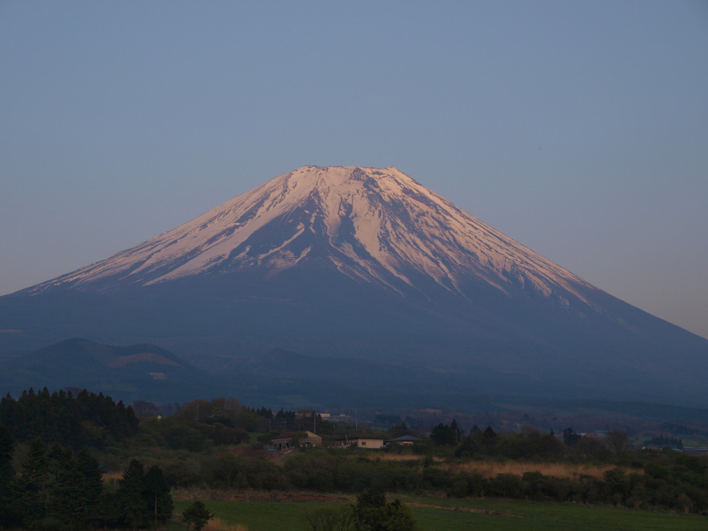 5/1 �[�Ă��̕x�m�R