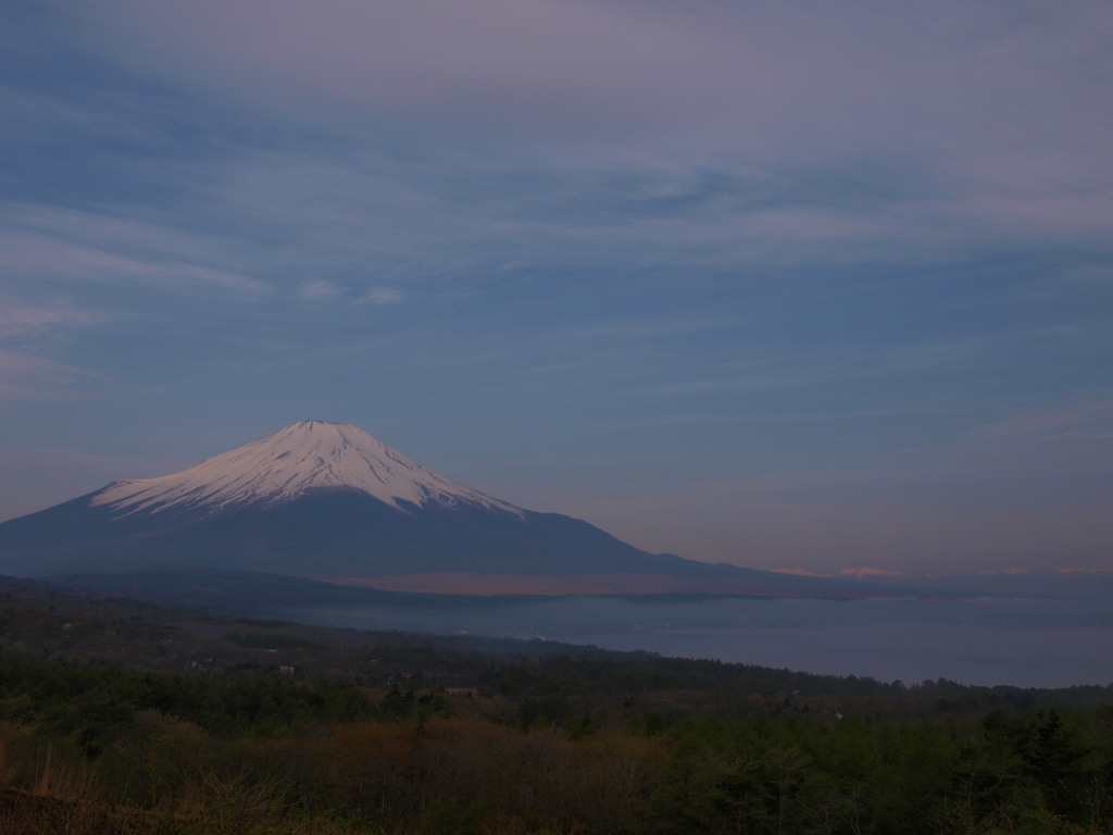 5/3 �_���؂ꂽ�x�m�R